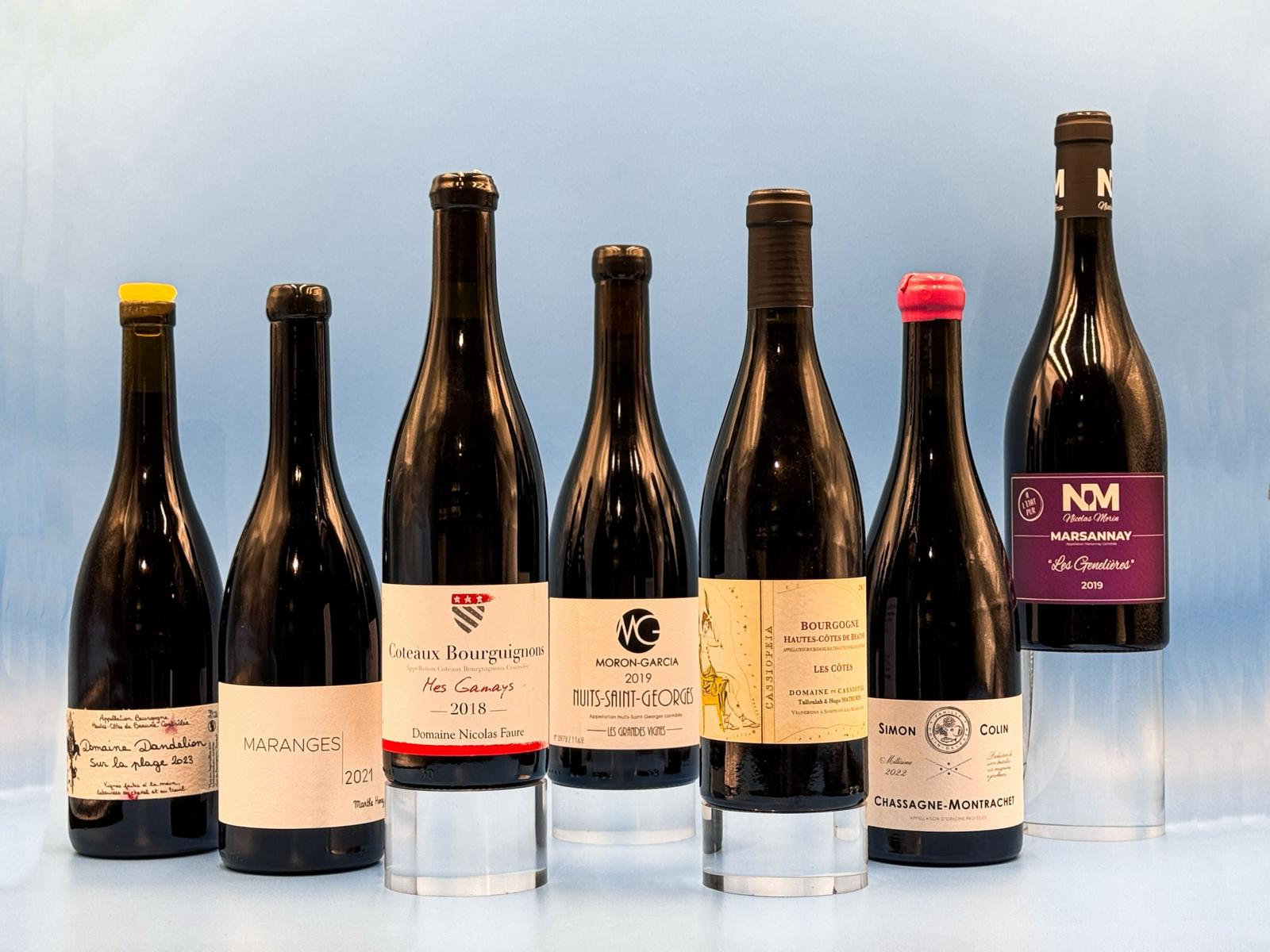 Rising Stars of Burgundy: New Wave Pinot Noir Tasting