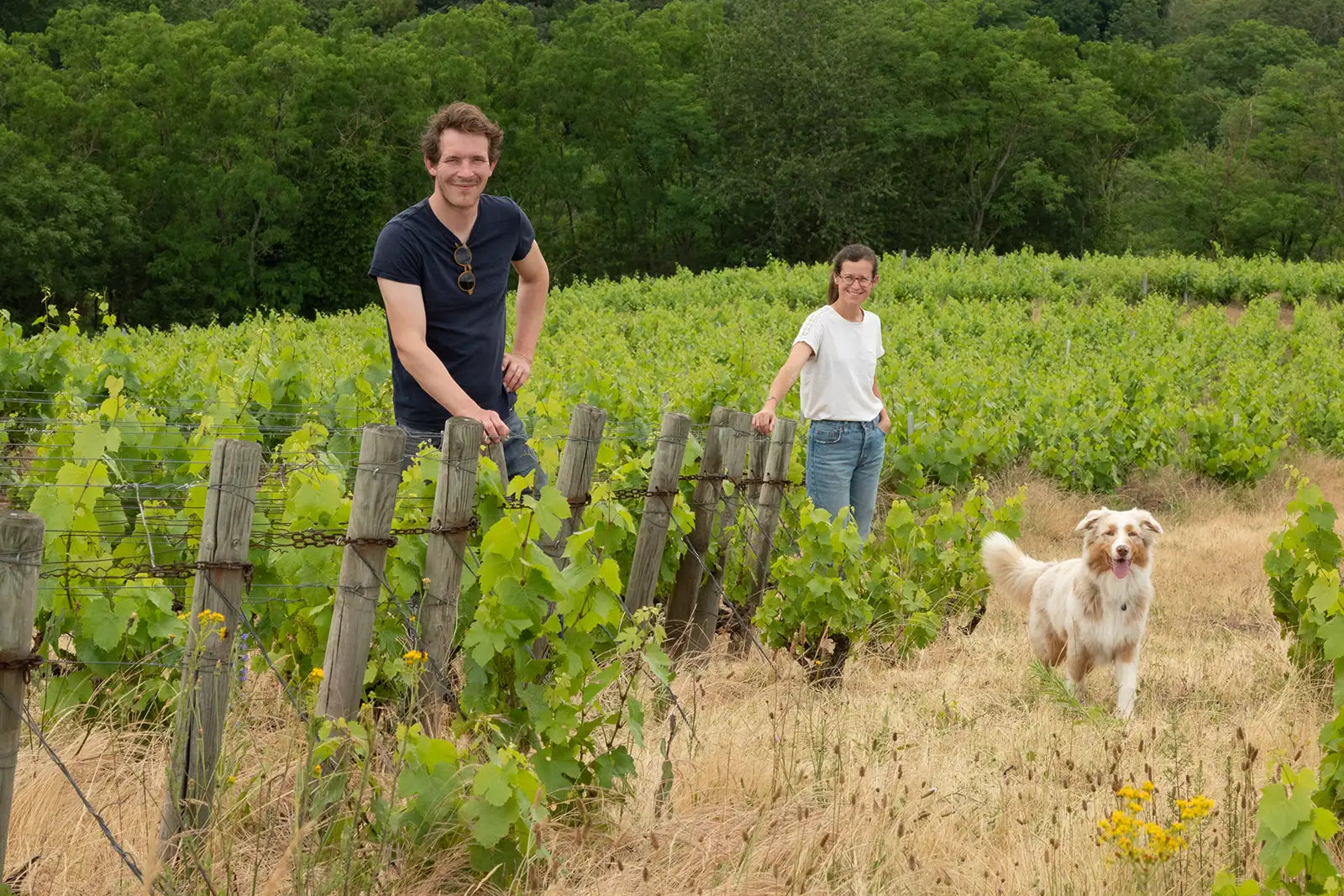Domaine Valma