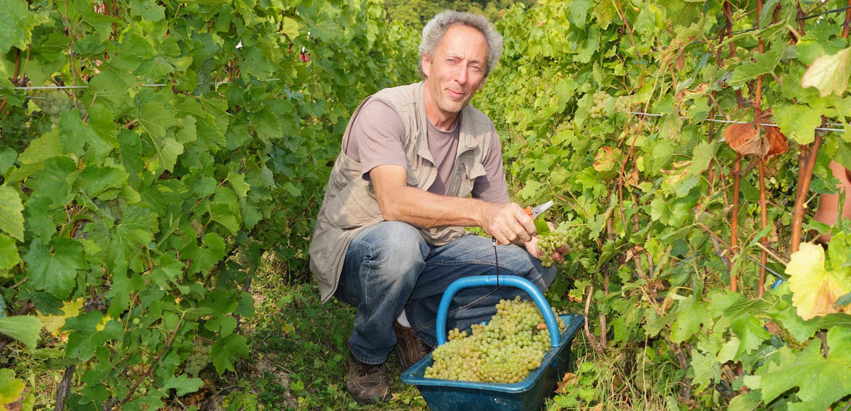 Pascal Doquet - Ginsberg+Chan Wine Merchants Asia
