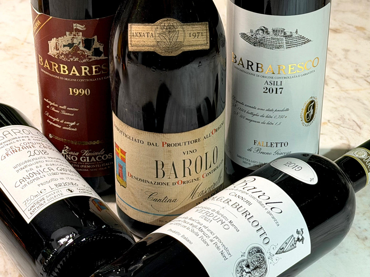 Piedmont in November: Barolo & Barbaresco Highlights