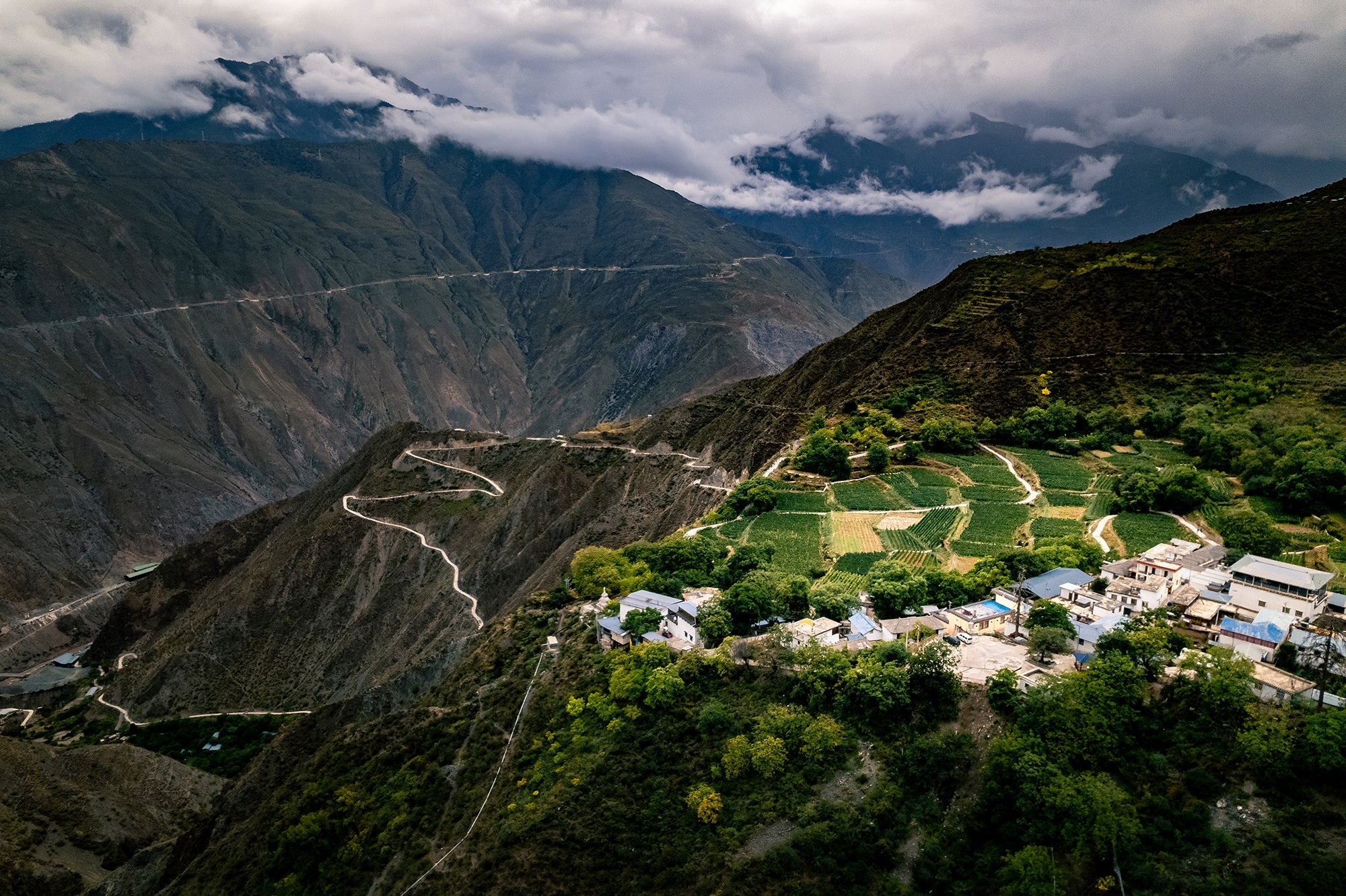 Chinese Wine Revolution