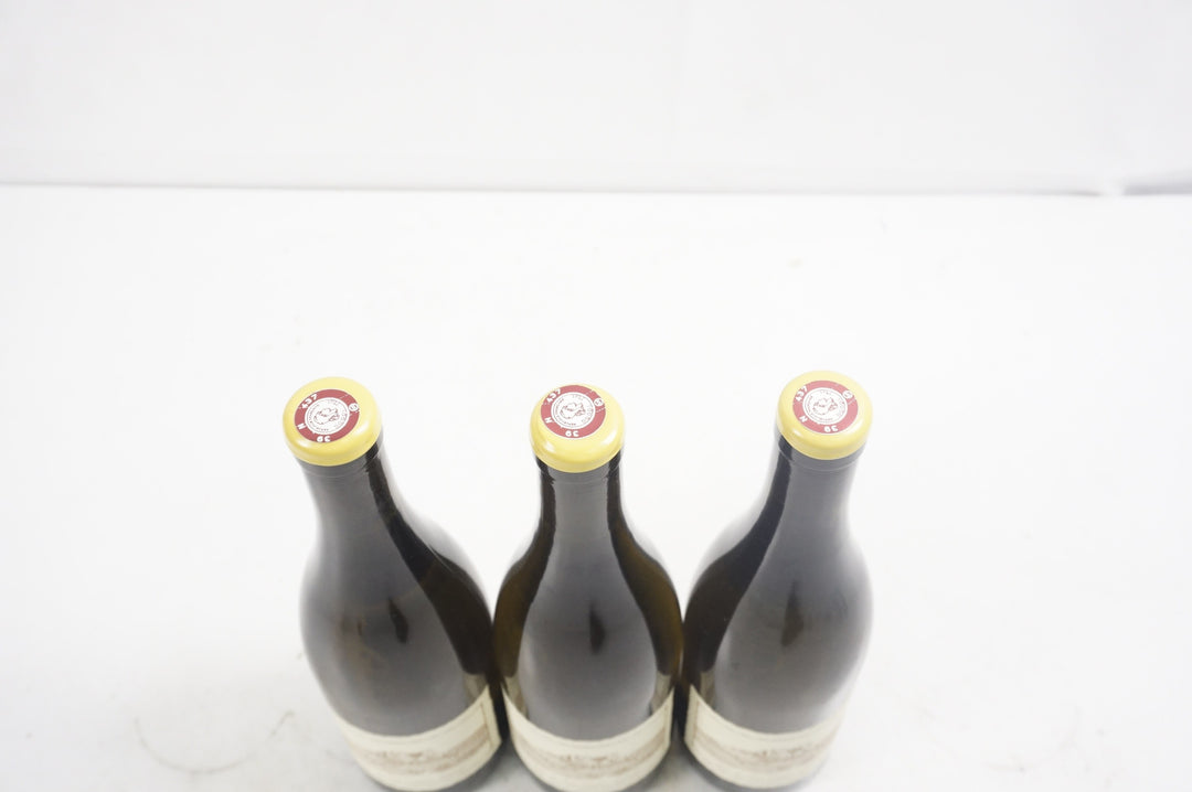 Anne et Jean Francois Ganevat Les Cedres Arbois Savagnin Le Clos 2020