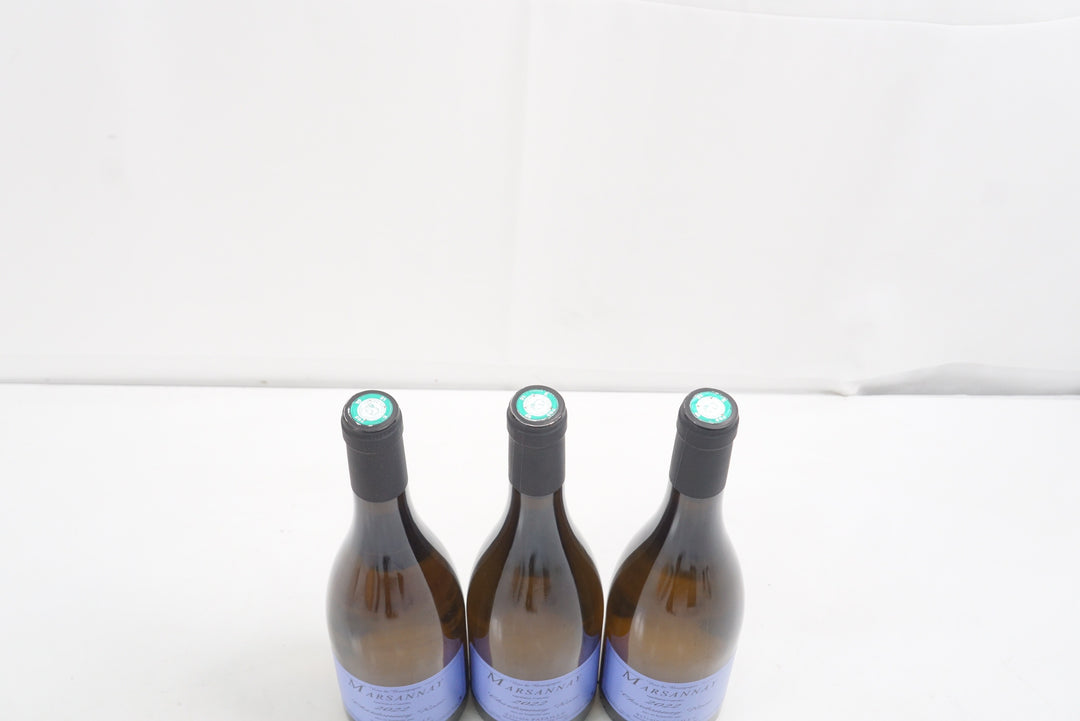 Sylvain Pataille Marsannay Chardonnay Rose 2022