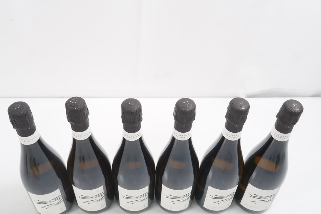 Nakada Park Vignes de Gye Sur Seine Brut Nature 2020