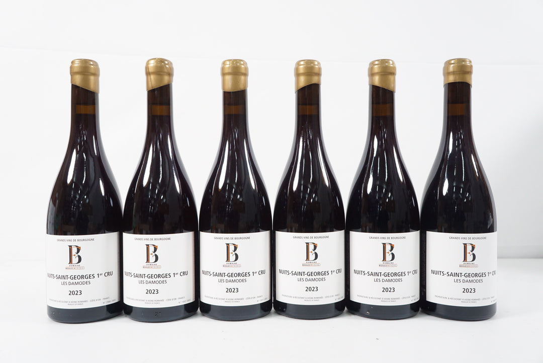 Boigey Freres Nuits Saint Georges Les Damodes 1er Cru 2023