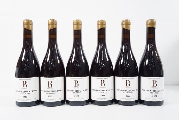 Boigey Freres Nuits Saint Georges Les Damodes 1er Cru 2023