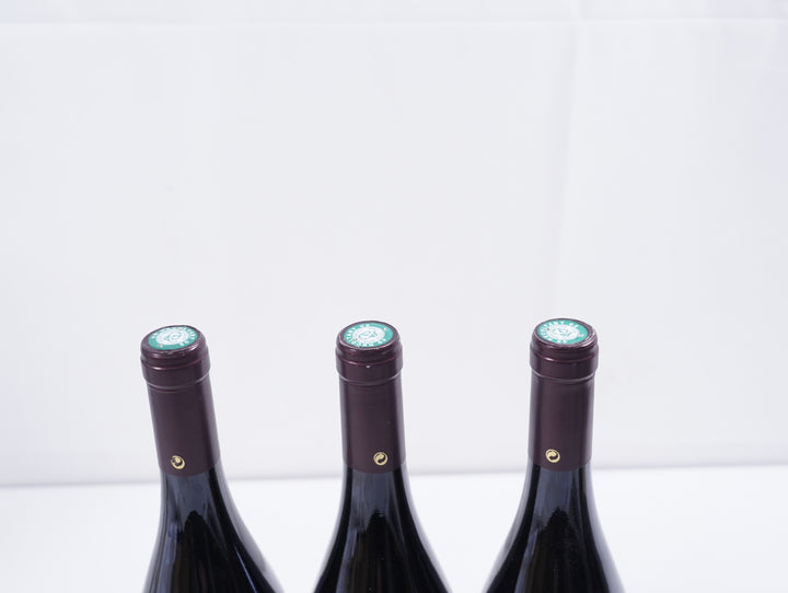 Clos Rougeard Saumur Champigny Le Clos 2008