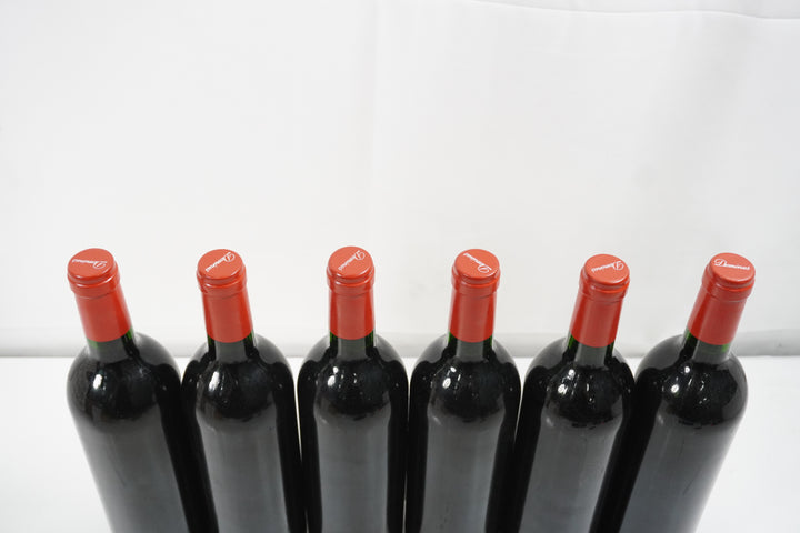 Dominus 1995