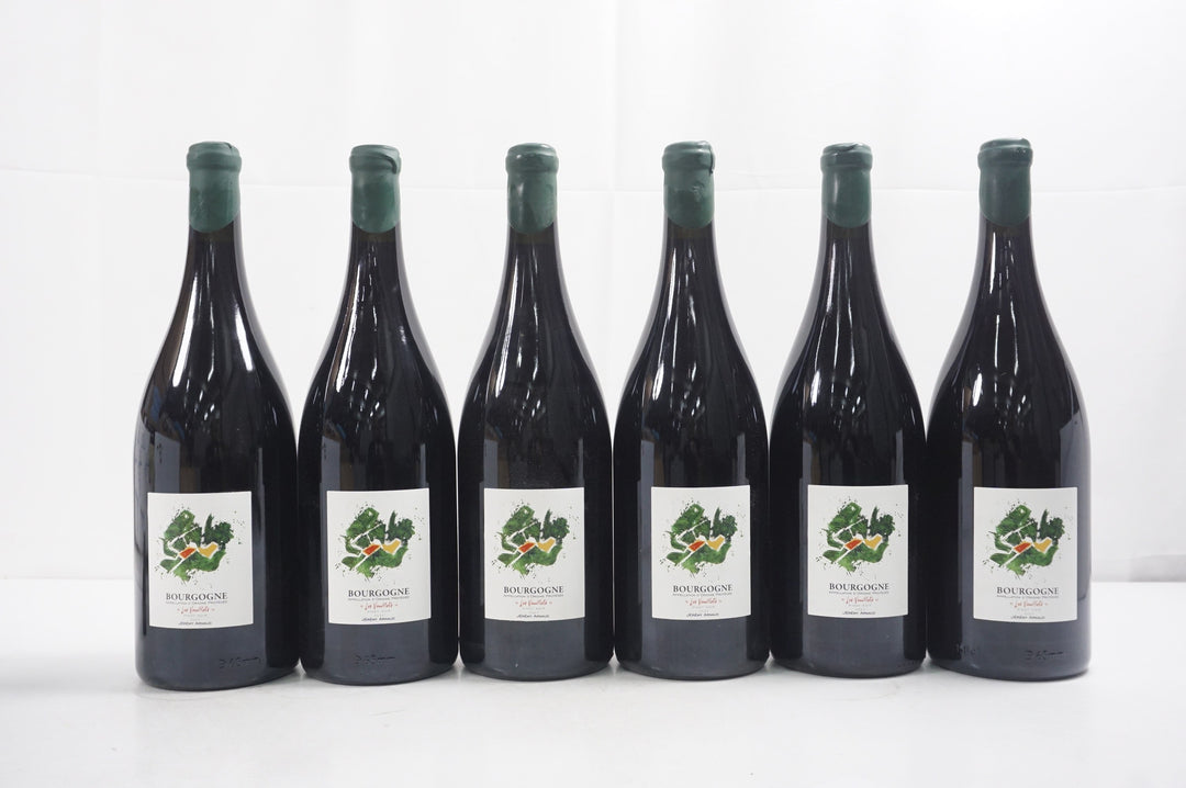 Jeremy Arnaud Bourgogne Rouge Les Veuillots Magnum 2023