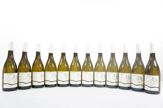 Domaine Fourrier Bourgogne Blanc 2022