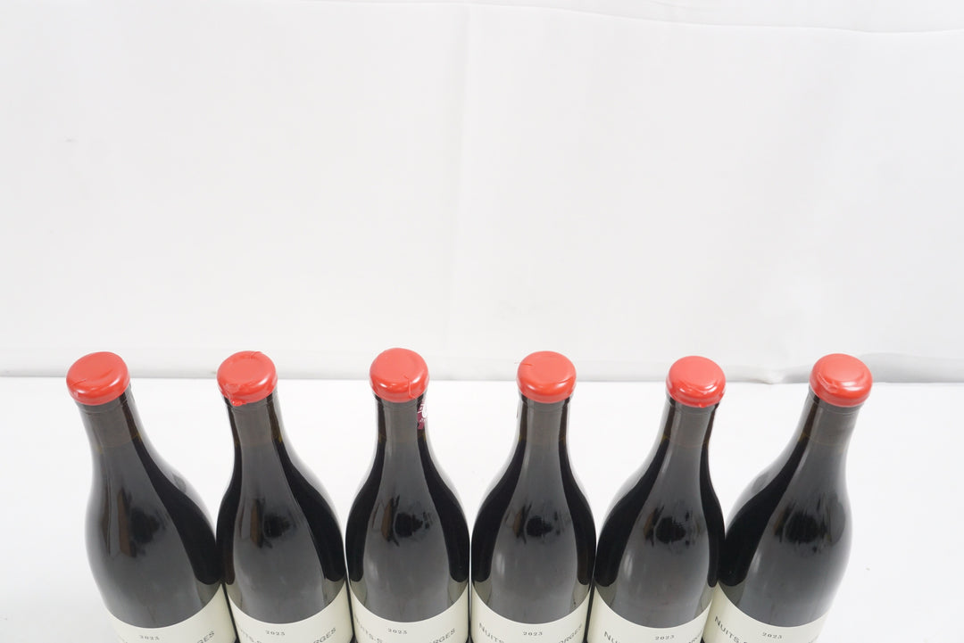 Frederic Cossard Nuits St Georges Les Damodes Qvevris 2023