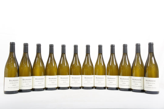 Pierre Boisson Bourgogne Blanc Les Belles Cotes 2020