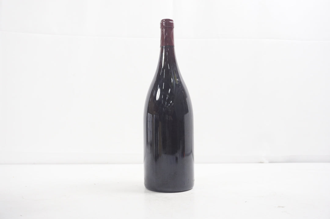 Raymond Trollat Saint Joseph Rouge Magnum 2005