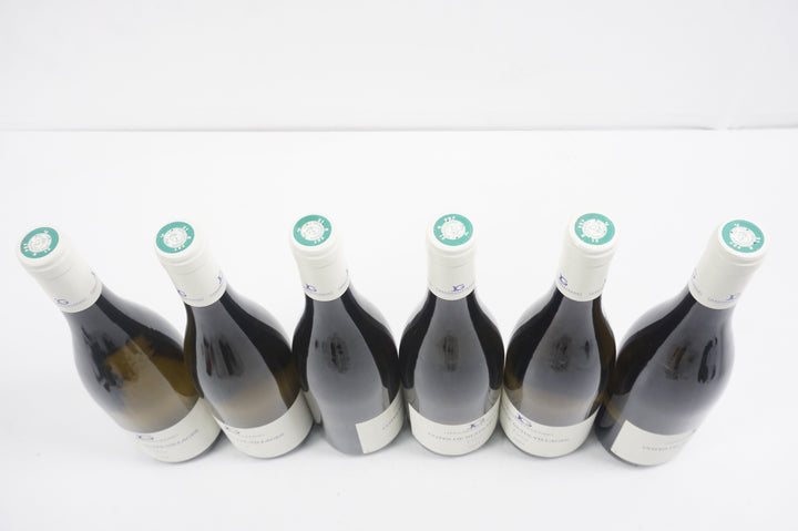 Jerome Galeyrand Cote de Nuits Villages Vignoy 2023