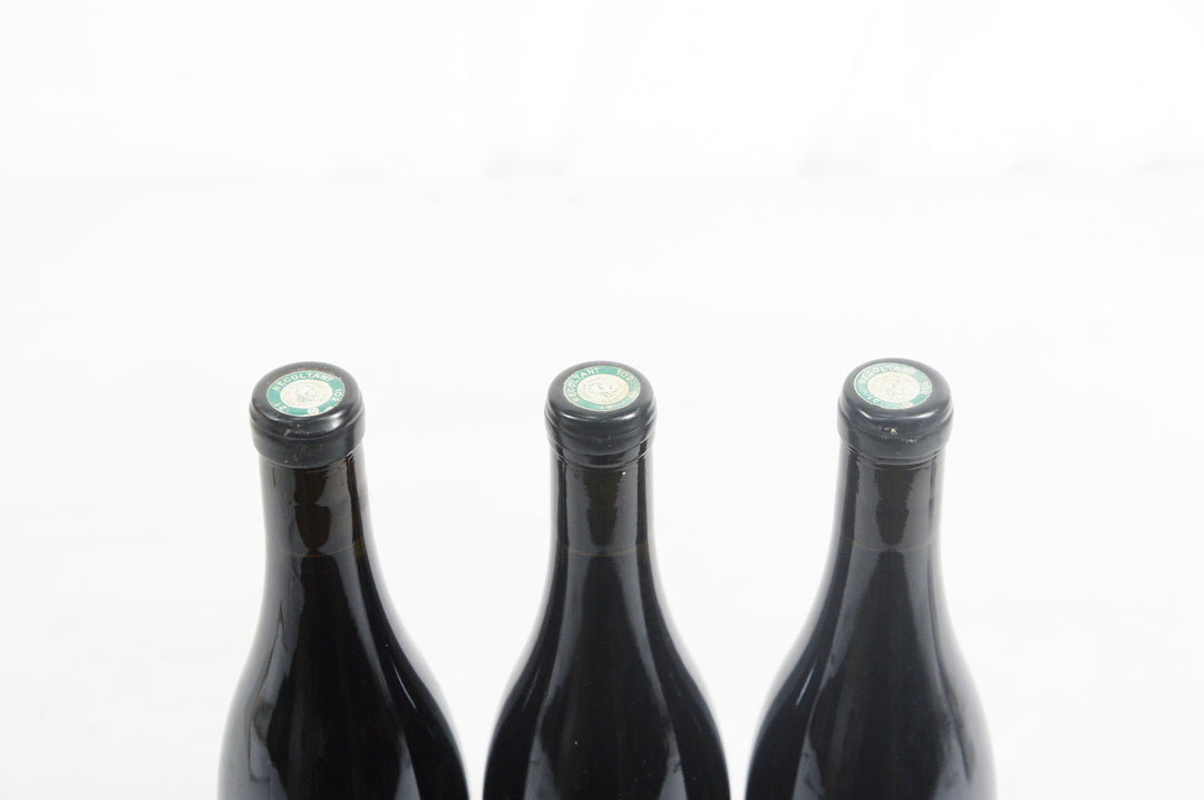 Domaine Nicolas Faure Nuits Saint Georges Les Herbues 2015 *