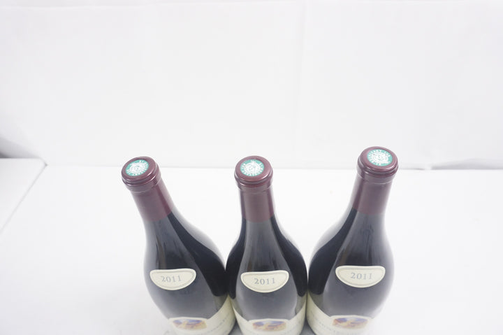 Georges Mugneret Gibourg Ruchottes Chambertin Grand Cru Magnum 2011