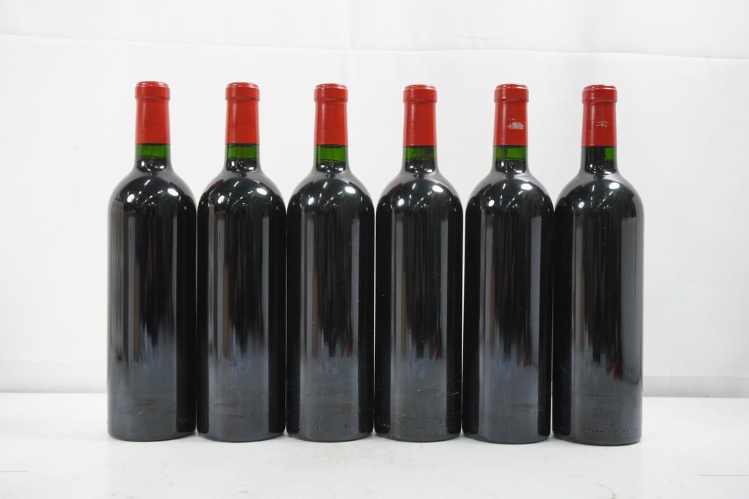 Dominus 2005