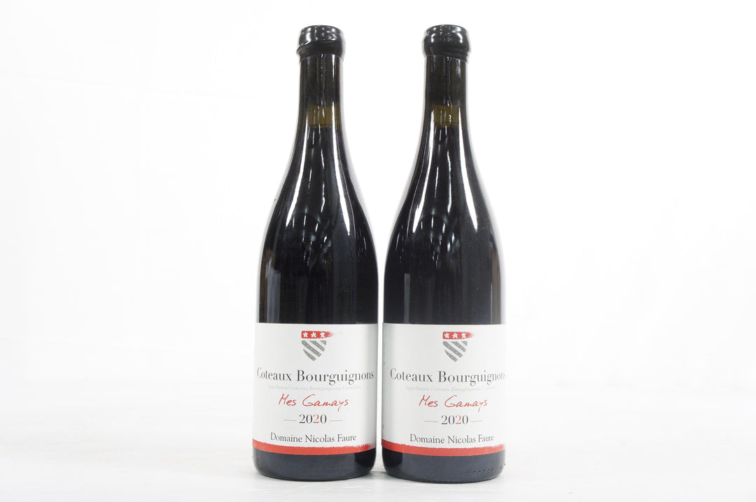Domaine Nicolas Faure Coteaux Bourguignons Mes Gamay 2020