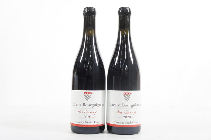Domaine Nicolas Faure Coteaux Bourguignons Mes Gamay 2020