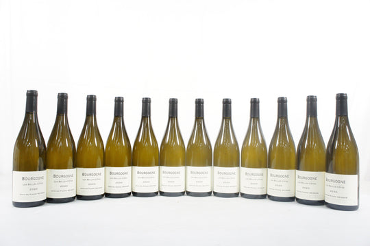 Pierre Boisson Bourgogne Blanc Les Belles Cotes 2020