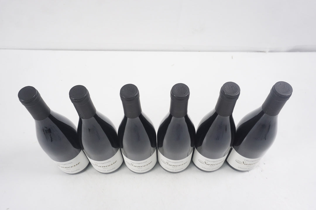 Vincent Gaudry Sancerre Vincengetorix Rouge 2022