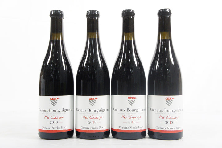 Domaine Nicolas Faure Coteaux Bourguignons Mes Gamay 2018
