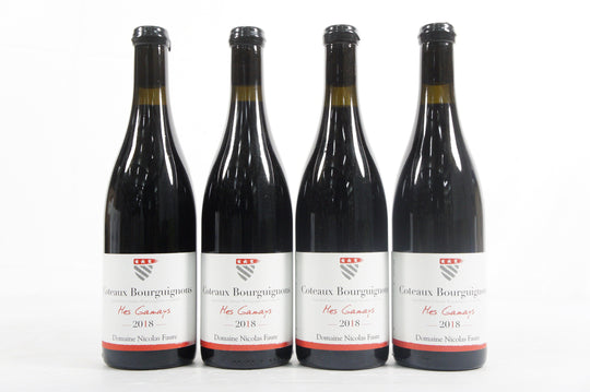 Domaine Nicolas Faure Coteaux Bourguignons Mes Gamay 2018