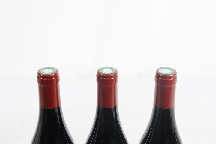 Arnaud Mortet Gevrey Chambertin Cuvee de TVV 2020
