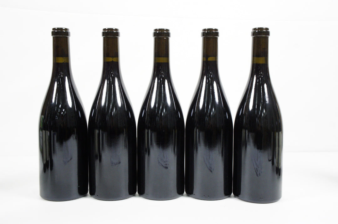 Domaine de la Rochette Les Chanez Pinot Noir 2010