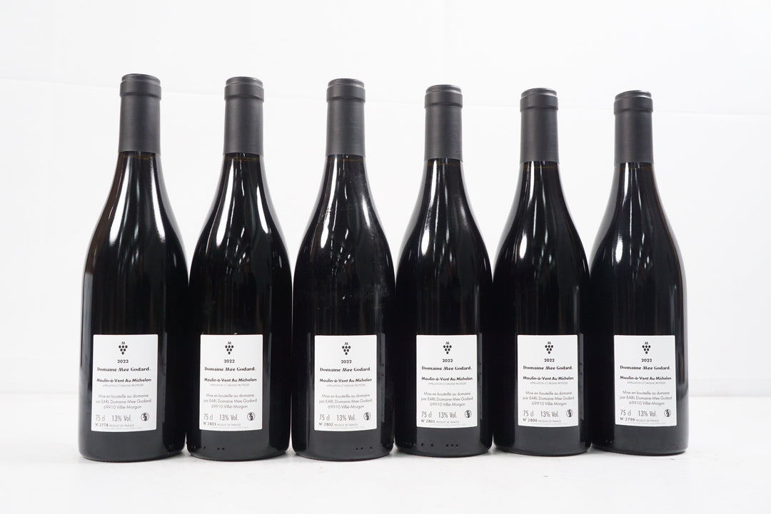 Mee Godard Moulin A Vent Au Michelon 2022