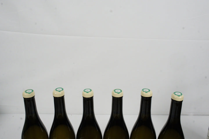 Hubert Lamy Saint Aubin Clos de la Chateniere 1er Cru VV 2016