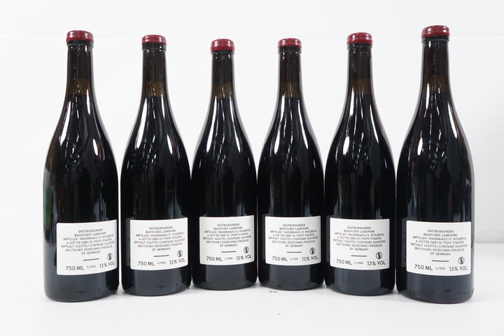 Weingut Wasenhaus Hohlen Spatburgunder 2023