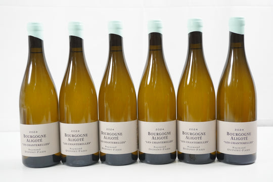Dupont Fahn Raymond Bourgogne Aligote Les Chanterelles 2024