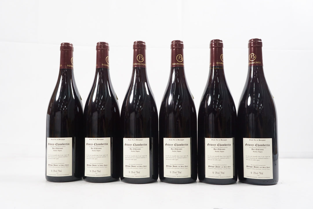 Philippe Jouan Gevrey Chambertin Aux Echezeaux VV 2021