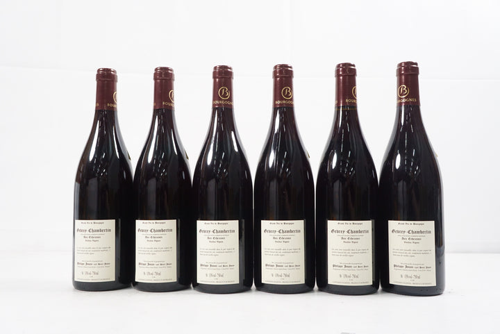 Philippe Jouan Gevrey Chambertin Aux Echezeaux VV 2021