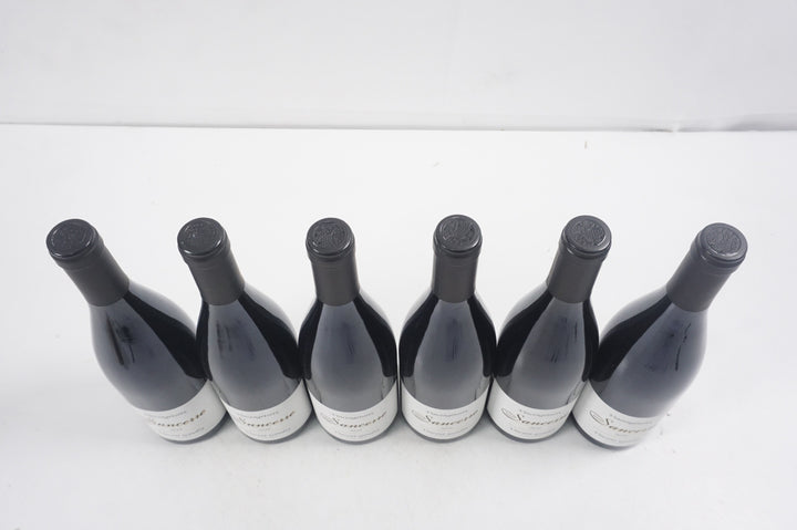 Vincent Gaudry Sancerre Vincengetorix Rouge 2020