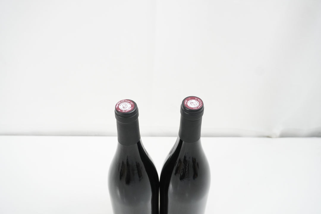 Pierre Gonon Saint Joseph VV 2009