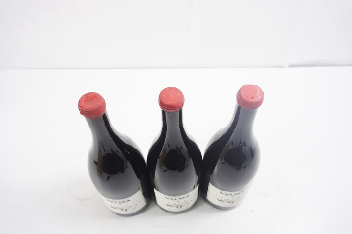 Domaine Valma Fleurie Les Labourons Magnum 2023