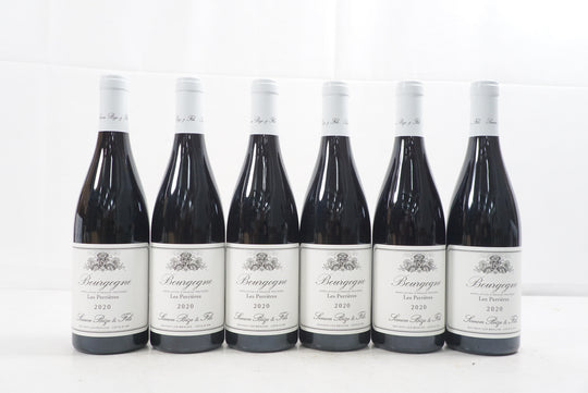 Simon Bize Bourgogne Les Perrieres 2020