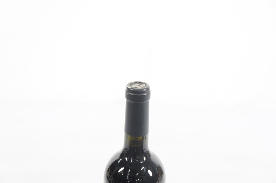 Dalla Valle Maya 1993