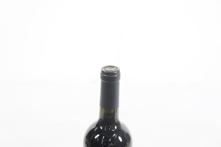 Dalla Valle Maya 1993