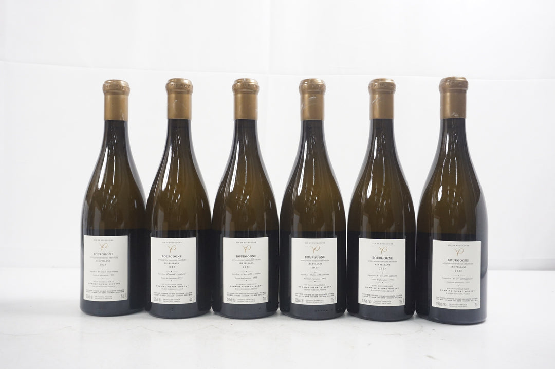 Pierre Vincent Bourgogne Les Pellans 2023