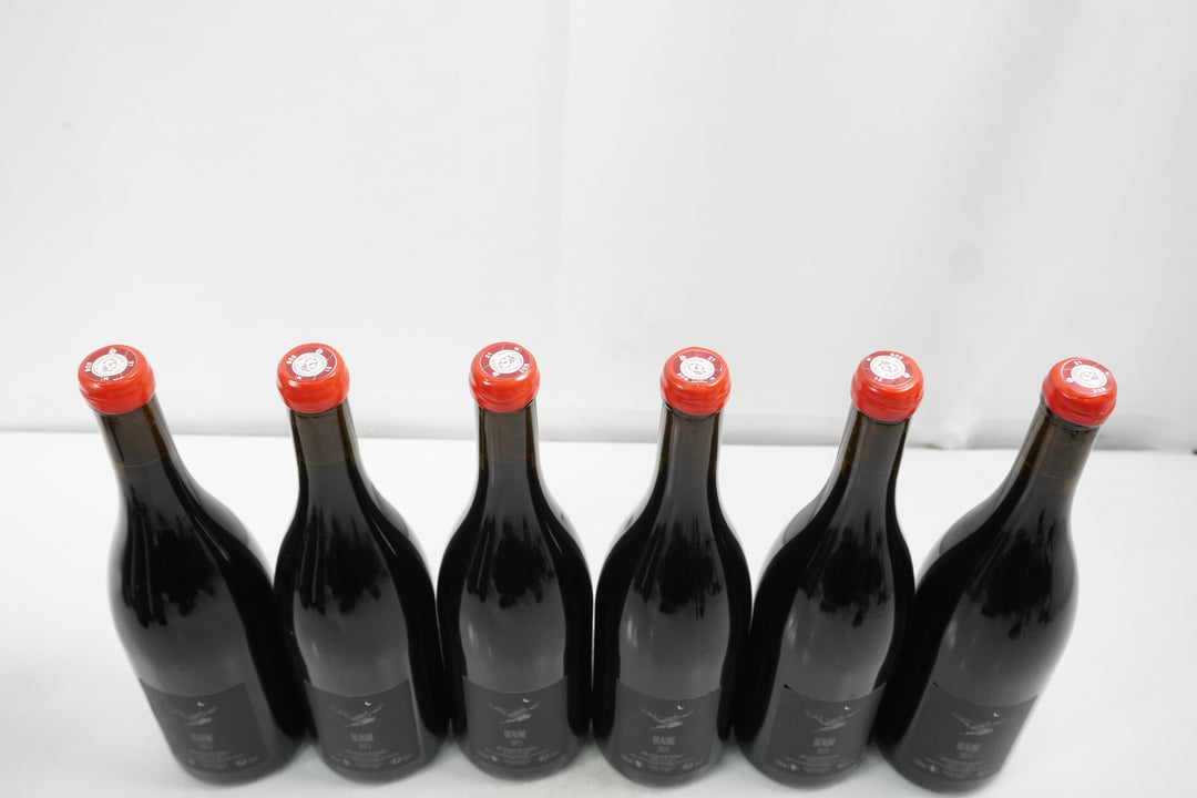 Maison Pinot Noar Beaune Rouge 2023