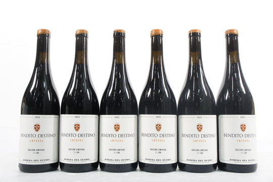 Bendito Destino Amphora 2022