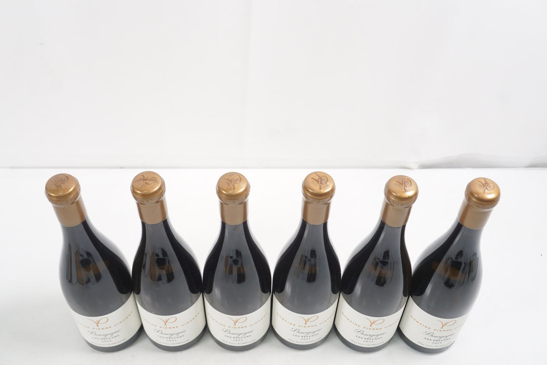 Pierre Vincent Bourgogne Les Pellans 2023