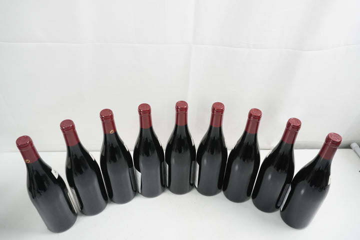 Thierry Allemand Cornas Chaillot 2009