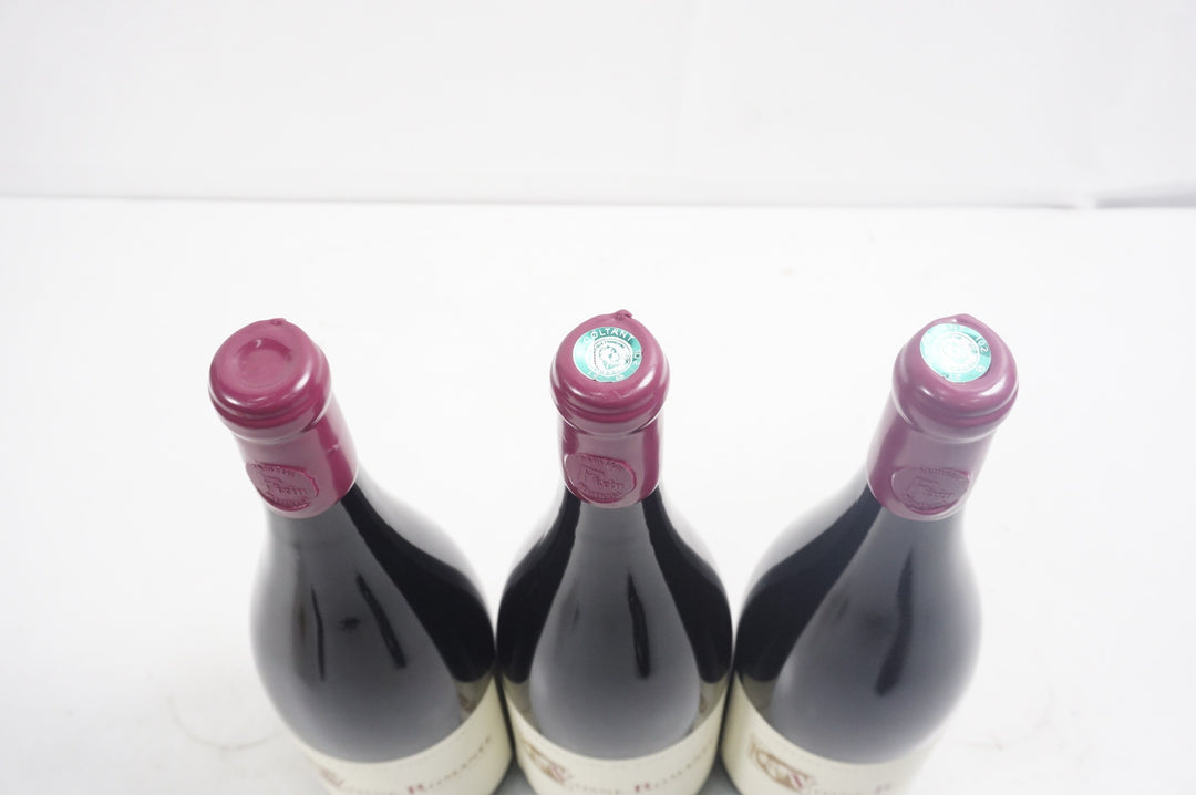 Berthaut Gerbet Vosne Romanee Magnum 2023