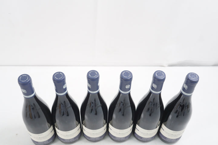 Anne Gros Coteaux Bourguignons VV 2023