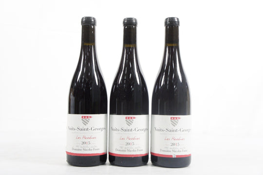 Domaine Nicolas Faure Nuits Saint Georges Les Herbues 2015 *