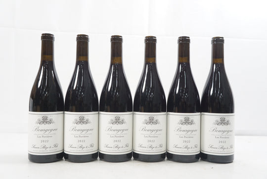Simon Bize Bourgogne Les Perrieres 2022